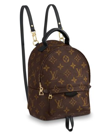 Louis Vuitton Monogram Palm Springs Backpack Mini Bag M41562 Brown